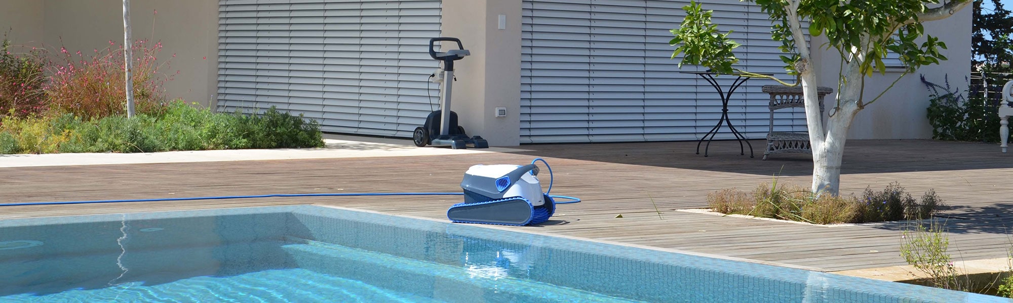 robot piscine dolphin